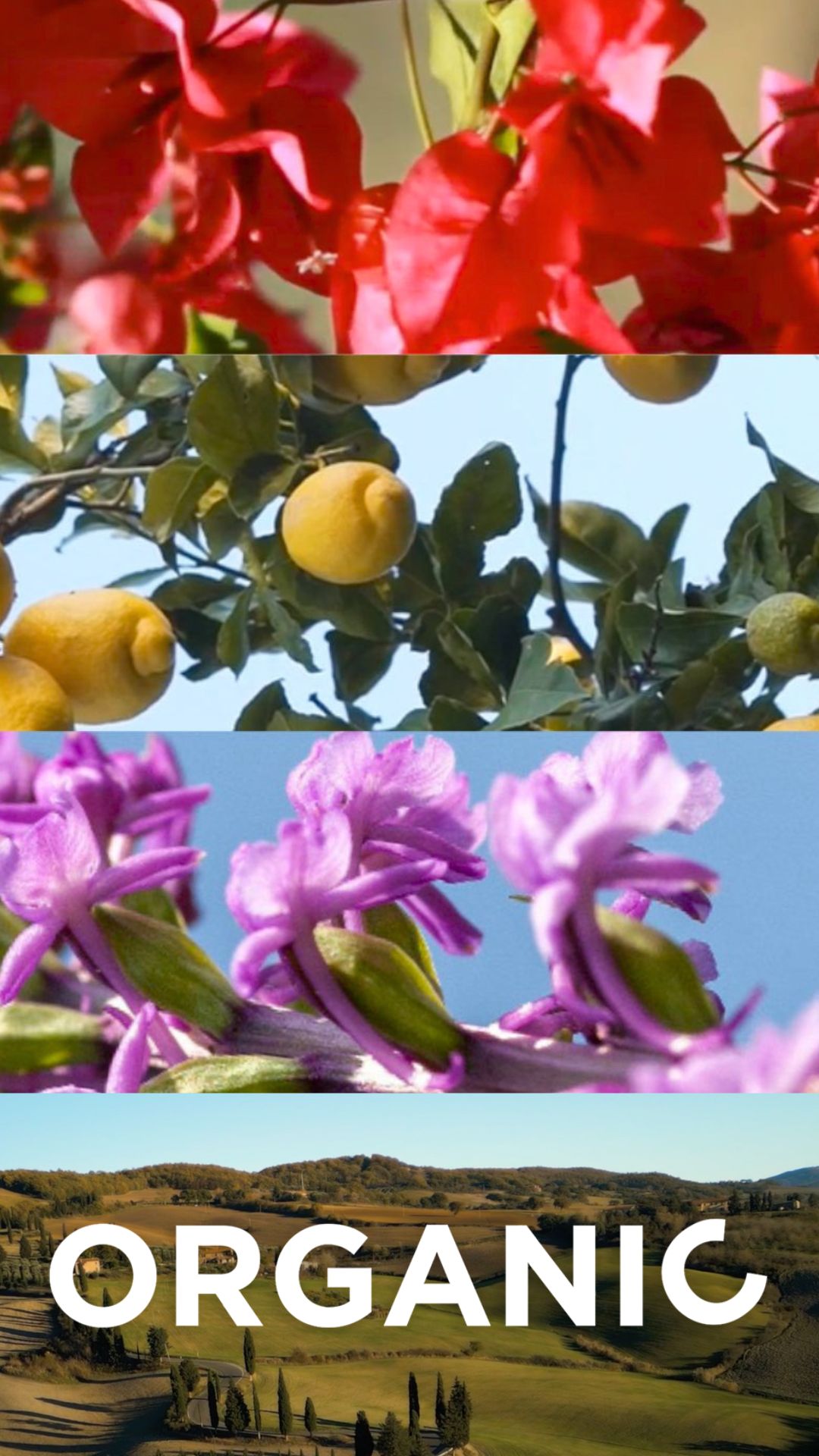 Kosmetica