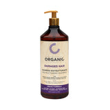 Pack Organic shampoo con mascarilla